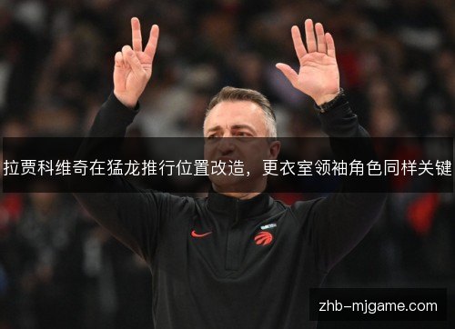 拉贾科维奇在猛龙推行位置改造,更衣室领袖角色同样关键 拉贾科维奇在猛龙推行位置改造,更衣室领袖角色同样关键